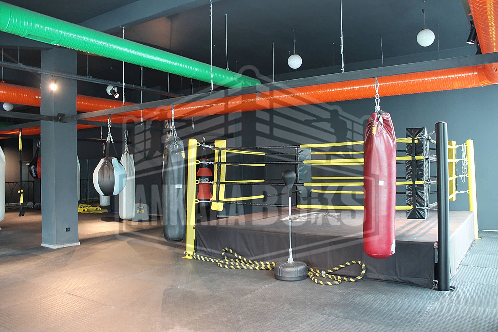 Ankara Boks | Fotoğraf Galerisi 2